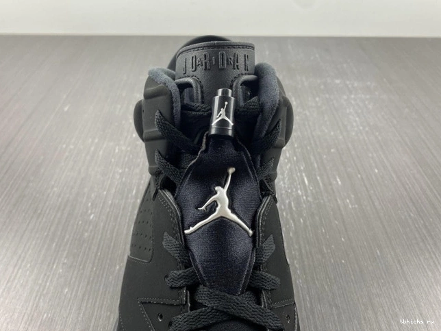 Rep TB Silver Metallic DX2836-001 Jordan Air 6 0824